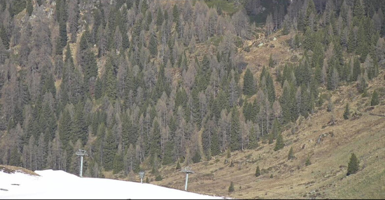 Webcam San Martino di Castrozza - Passo Rolle  - Tognola - Piste Scandola