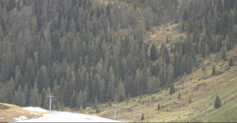 Webcam San Martino di Castrozza - Passo Rolle - Tognola - Piste Scandola