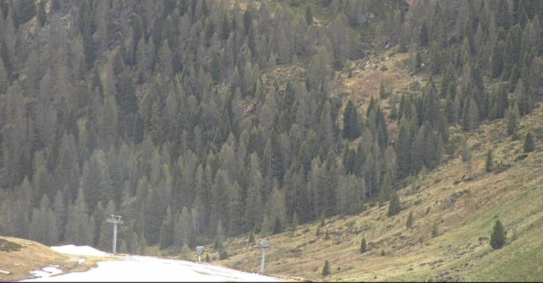 Webcam Сан-Мартино-ди-Кастроцца - Пассо-Ролле - Tognola - Piste Scandola