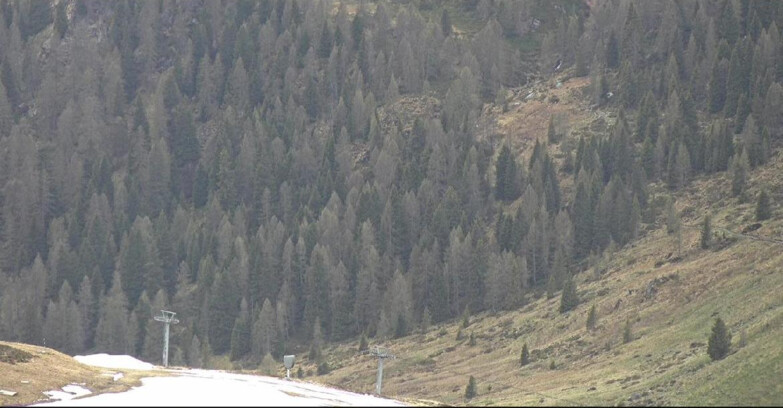 Webcam Сан-Мартино-ди-Кастроцца - Пассо-Ролле - Tognola - Piste Scandola