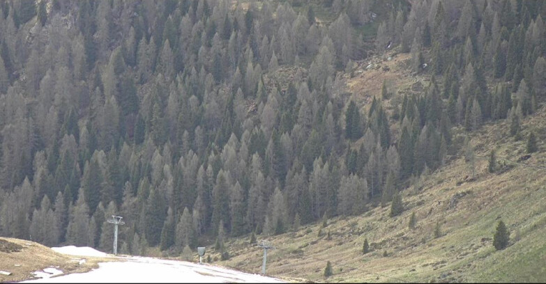 Webcam San Martino di Castrozza - Passo Rolle - Tognola - Pista Scandola