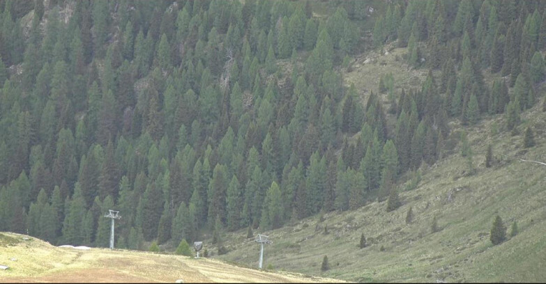 Webcam San Martino di Castrozza - Passo Rolle - Tognola - Piste Scandola