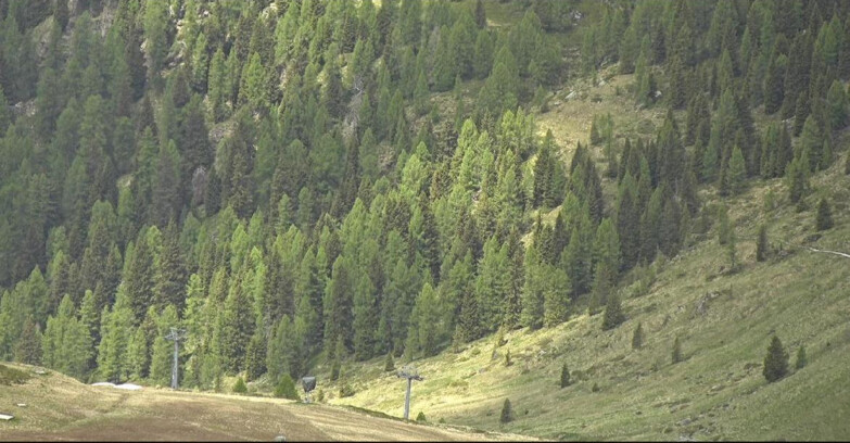 Webcam San Martino di Castrozza - Passo Rolle - Tognola - Piste Scandola