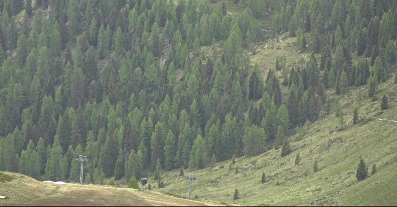 Webcam San Martino di Castrozza - Passo Rolle - Tognola - Piste Scandola