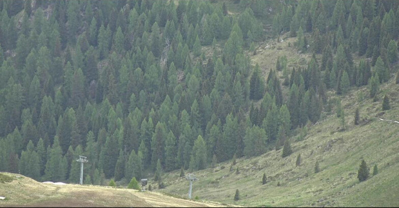 Webcam San Martino di Castrozza - Passo Rolle - Tognola - Piste Scandola