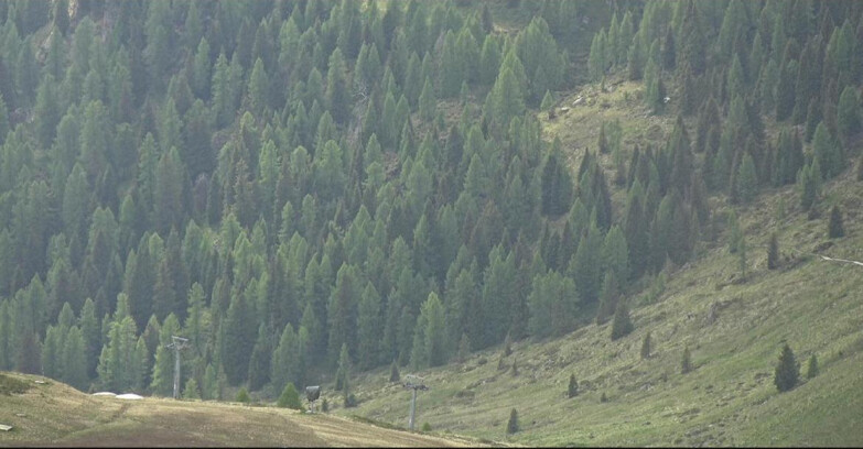 Webcam San Martino di Castrozza - Passo Rolle - Tognola - Piste Scandola