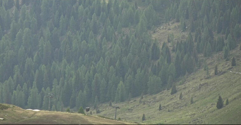 Webcam San Martino di Castrozza - Passo Rolle - Tognola - Piste Scandola