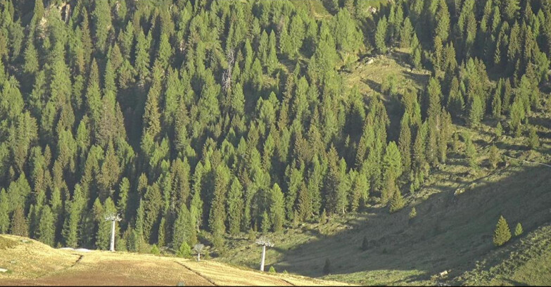 Webcam San Martino di Castrozza - Passo Rolle - Tognola - Piste Scandola