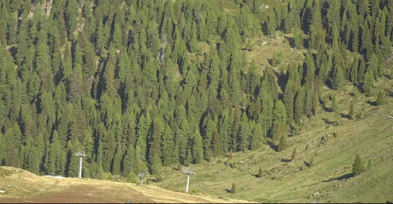 Webcam San Martino di Castrozza - Passo Rolle - Tognola - Piste Scandola