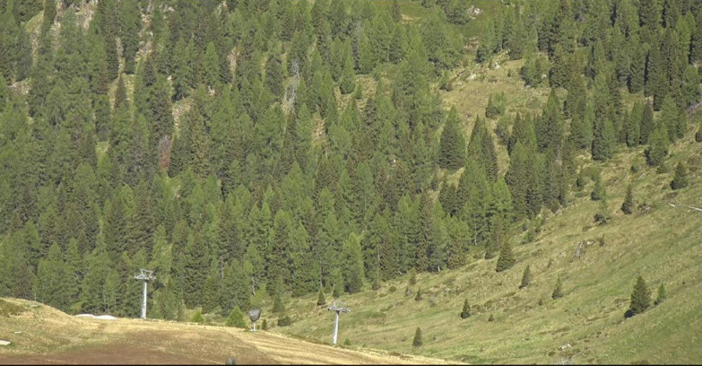 Webcam San Martino di Castrozza - Passo Rolle - Tognola - Piste Scandola
