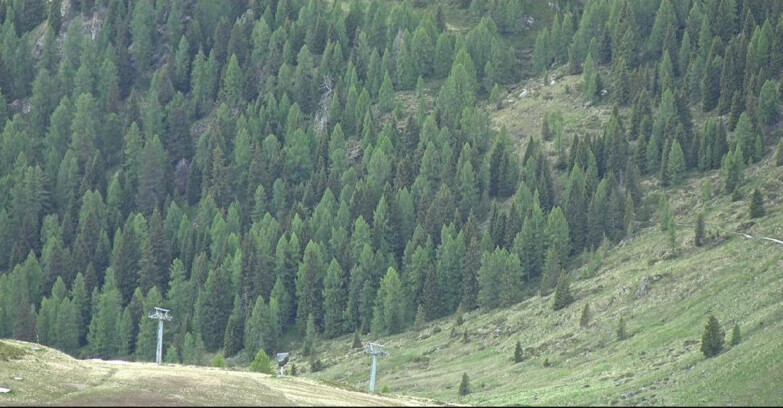 Webcam San Martino di Castrozza - Passo Rolle - Tognola - Pista Scandola