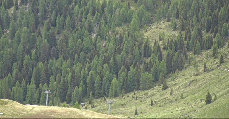 Webcam San Martino di Castrozza - Passo Rolle - Tognola - Pista Scandola