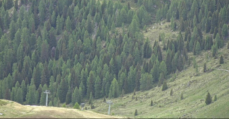 Webcam San Martino di Castrozza - Passo Rolle - Tognola - Pista Scandola