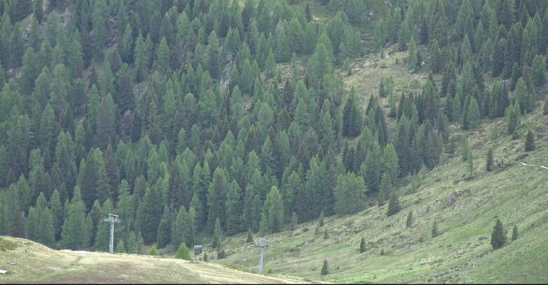 Webcam San Martino di Castrozza - Passo Rolle - Tognola - Pista Scandola