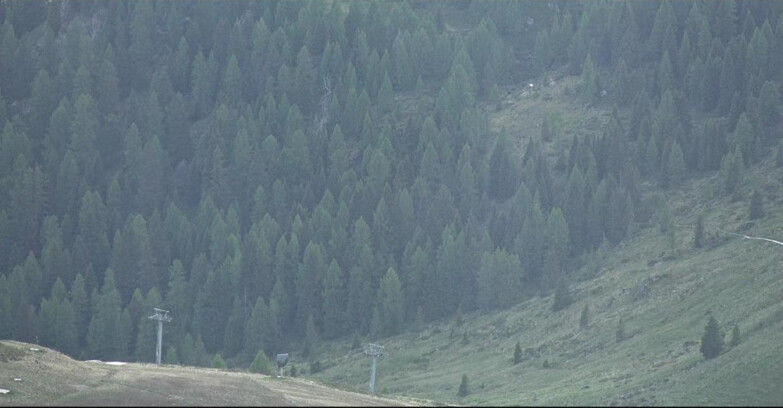 Webcam San Martino di Castrozza - Passo Rolle - Tognola - Pista Scandola