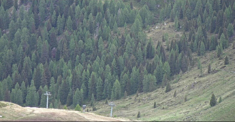 Webcam San Martino di Castrozza - Passo Rolle - Tognola - Pista Scandola