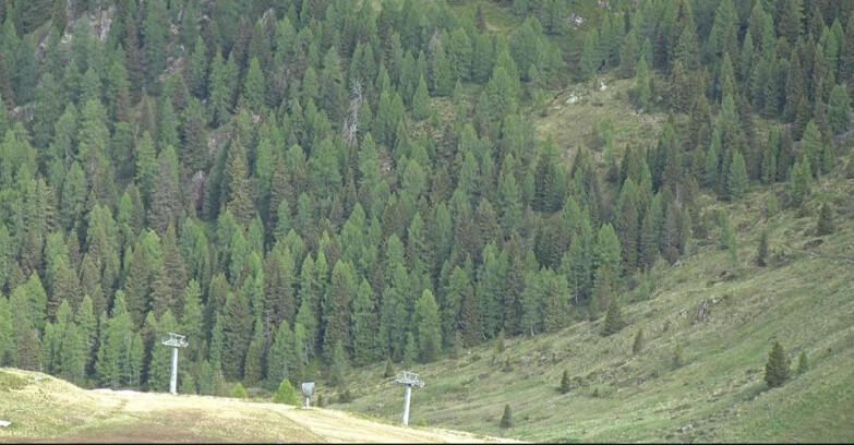 Webcam San Martino di Castrozza - Passo Rolle - Tognola - Pista Scandola