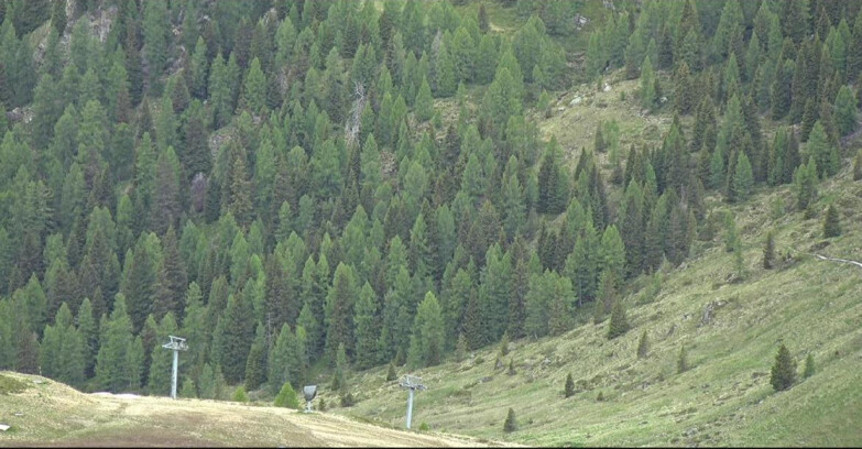 Webcam San Martino di Castrozza - Passo Rolle - Tognola - Pista Scandola
