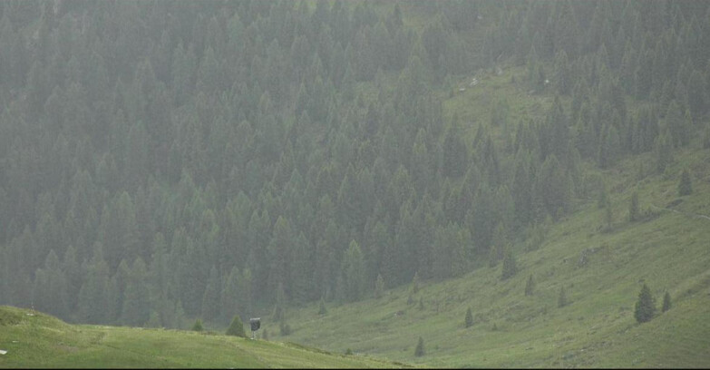 Webcam Сан-Мартино-ди-Кастроцца - Пассо-Ролле - Tognola - Piste Scandola