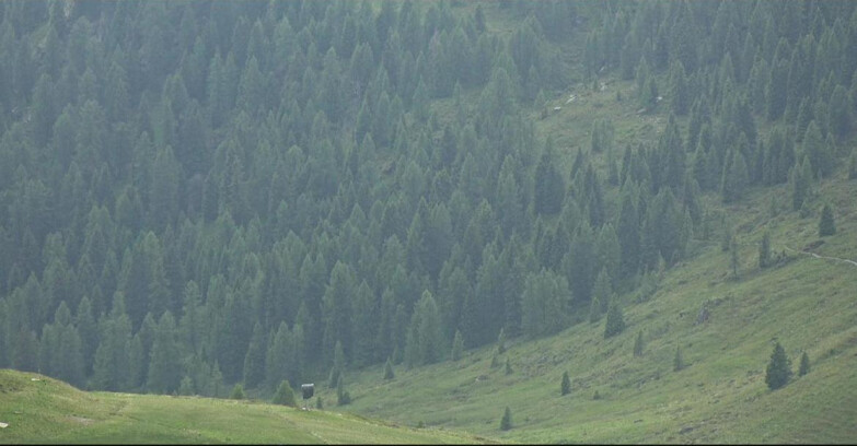 Webcam Сан-Мартино-ди-Кастроцца - Пассо-Ролле - Tognola - Piste Scandola