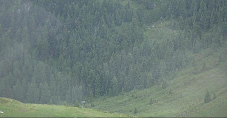 Webcam San Martino di Castrozza - Passo Rolle - Tognola - Pista Scandola