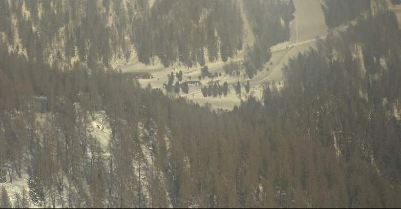 Webcam San Martino di Castrozza - Passo Rolle - Ces - Malga Valcigolera