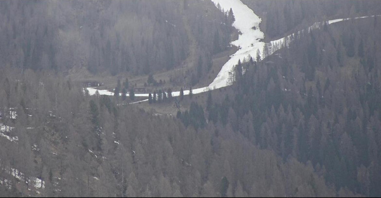 Webcam Сан-Мартино-ди-Кастроцца - Пассо-Ролле - Ces - Malga Valcigolera