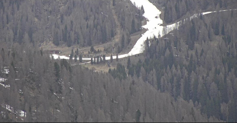 Webcam Сан-Мартино-ди-Кастроцца - Пассо-Ролле - Ces - Malga Valcigolera