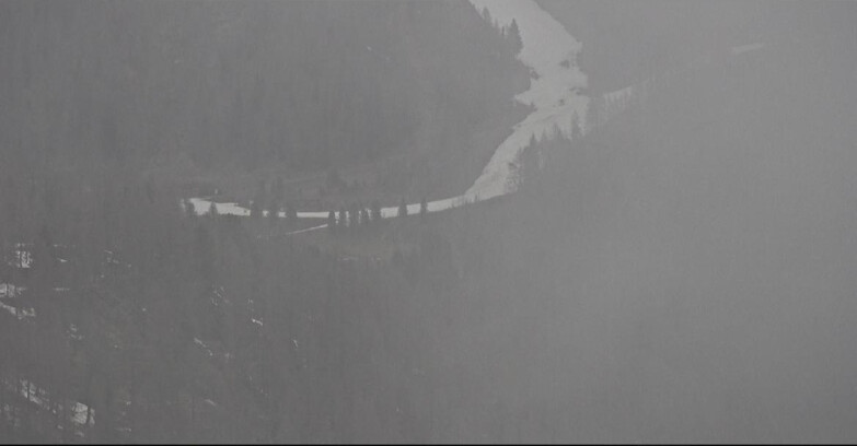 Webcam Сан-Мартино-ди-Кастроцца - Пассо-Ролле - Ces - Malga Valcigolera