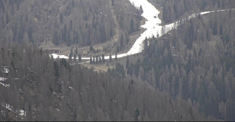 Webcam Сан-Мартино-ди-Кастроцца - Пассо-Ролле - Ces - Malga Valcigolera