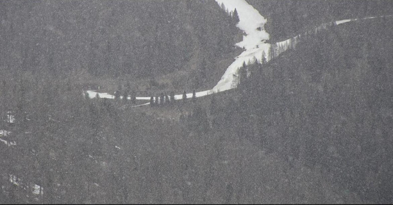 Webcam Сан-Мартино-ди-Кастроцца - Пассо-Ролле - Ces - Malga Valcigolera