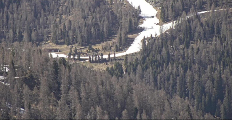 Webcam Сан-Мартино-ди-Кастроцца - Пассо-Ролле - Ces - Malga Valcigolera