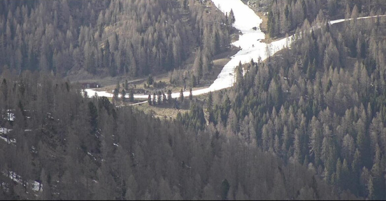 Webcam Сан-Мартино-ди-Кастроцца - Пассо-Ролле - Ces - Malga Valcigolera