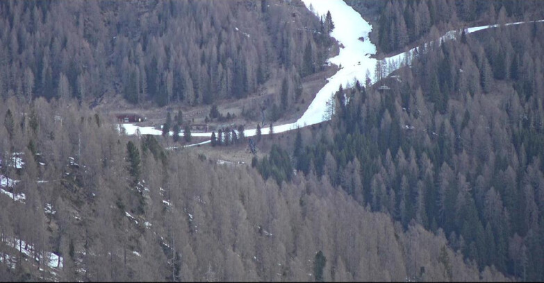 Webcam Сан-Мартино-ди-Кастроцца - Пассо-Ролле - Ces - Malga Valcigolera