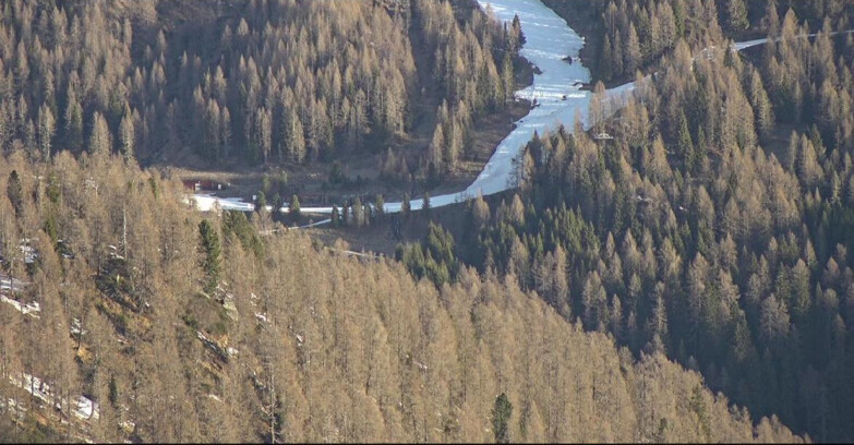 Webcam Сан-Мартино-ди-Кастроцца - Пассо-Ролле - Ces - Malga Valcigolera