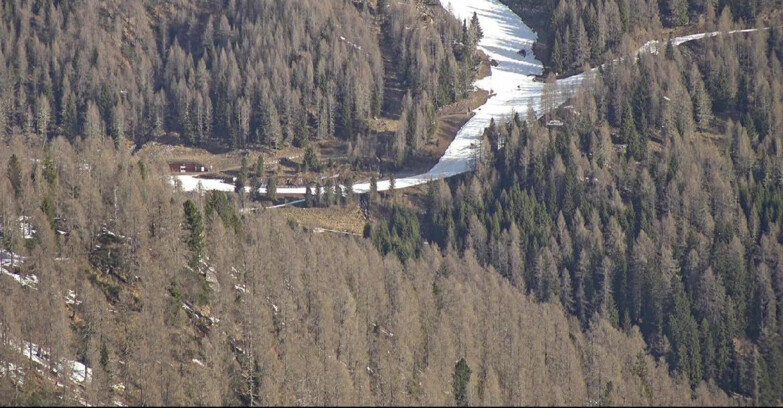 Webcam Сан-Мартино-ди-Кастроцца - Пассо-Ролле - Ces - Malga Valcigolera