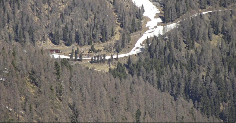 Webcam San Martino di Castrozza - Passo Rolle - Ces - Malga Valcigolera