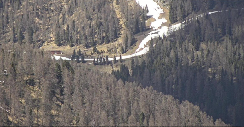 Webcam San Martino di Castrozza - Passo Rolle - Ces - Malga Valcigolera