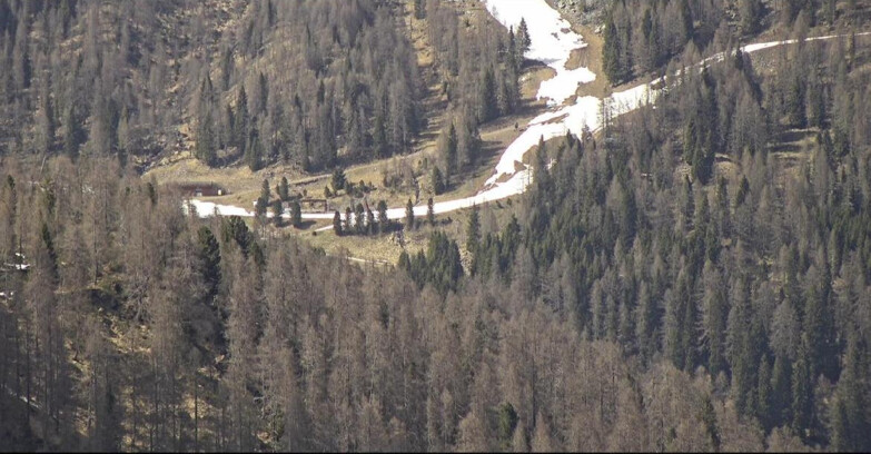 Webcam San Martino di Castrozza - Passo Rolle - Ces - Malga Valcigolera