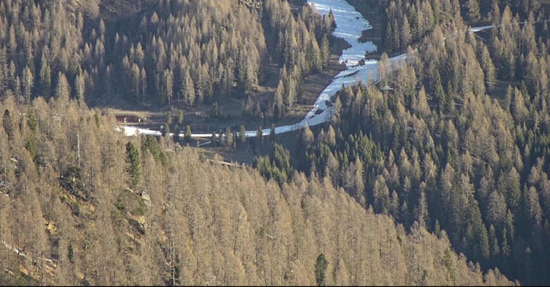 Webcam San Martino di Castrozza - Passo Rolle - Ces - Malga Valcigolera