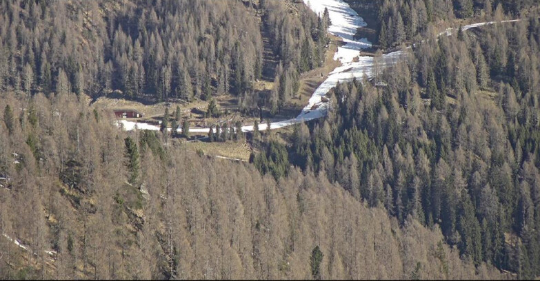 Webcam San Martino di Castrozza - Passo Rolle - Ces - Malga Valcigolera