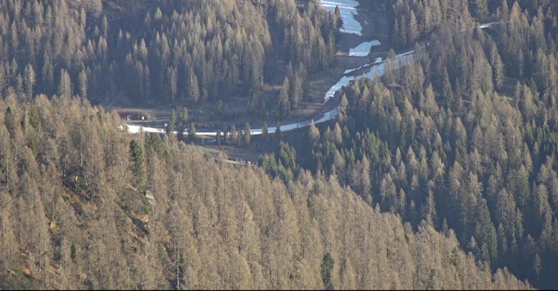 Webcam San Martino di Castrozza - Passo Rolle  - Ces - Malga Valcigolera