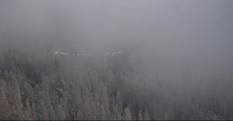 Webcam San Martino di Castrozza - Passo Rolle  - Ces - Malga Valcigolera