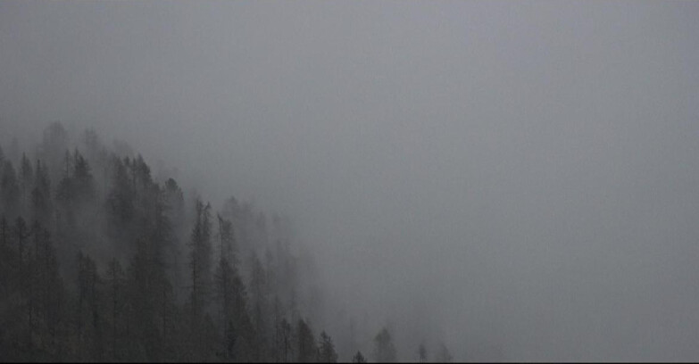 Webcam San Martino di Castrozza - Passo Rolle - Ces - Malga Valcigolera