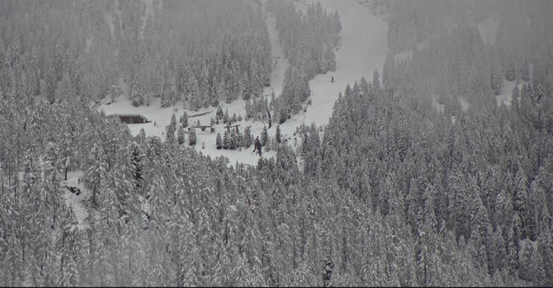 Webcam San Martino di Castrozza - Passo Rolle - Ces - Malga Valcigolera