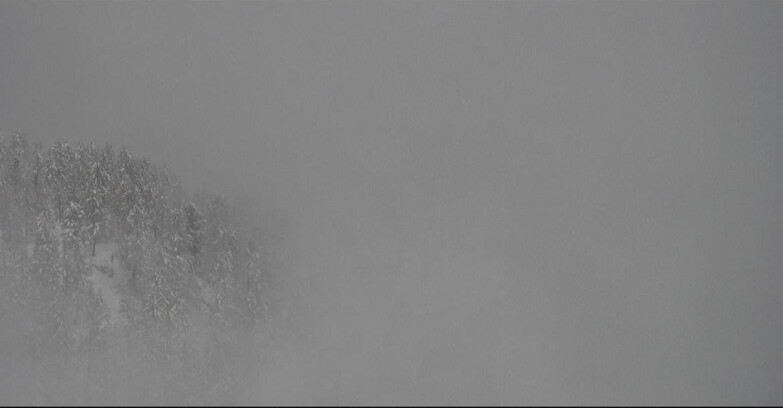 Webcam San Martino di Castrozza - Passo Rolle - Ces - Malga Valcigolera
