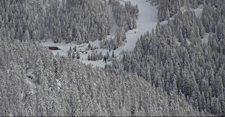 Webcam San Martino di Castrozza - Passo Rolle - Ces - Malga Valcigolera