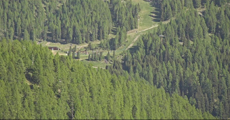 Webcam Сан-Мартино-ди-Кастроцца - Пассо-Ролле - Ces - Malga Valcigolera