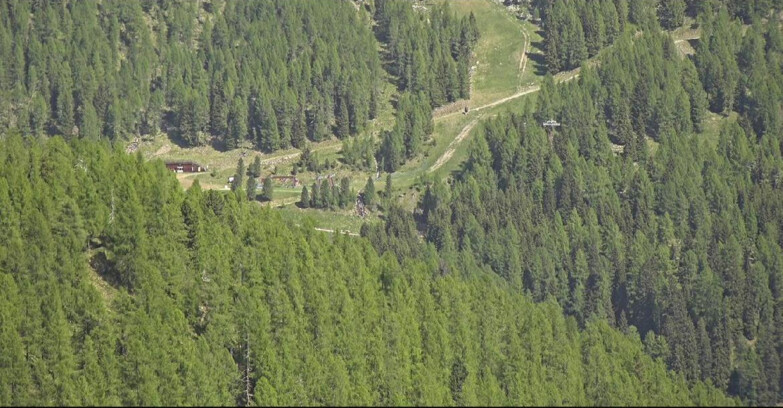 Webcam Сан-Мартино-ди-Кастроцца - Пассо-Ролле - Ces - Malga Valcigolera