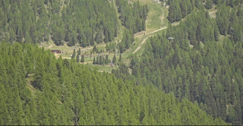 Webcam Сан-Мартино-ди-Кастроцца - Пассо-Ролле - Ces - Malga Valcigolera